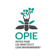 OPIE 

Association écologistes euziere naturaliste animation formations editions expertises sorties nature activités séjours camps accompagnement sensibilisation bénévolat adhésion soutien mécénat nature 