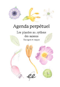 Agenda perpétuel les plantes au rythme des saisons 


Association écologistes euziere naturaliste animation formations editions expertises sorties nature activités séjours camps accompagnement sensibilisation bénévolat adhésion soutien mécénat nature 