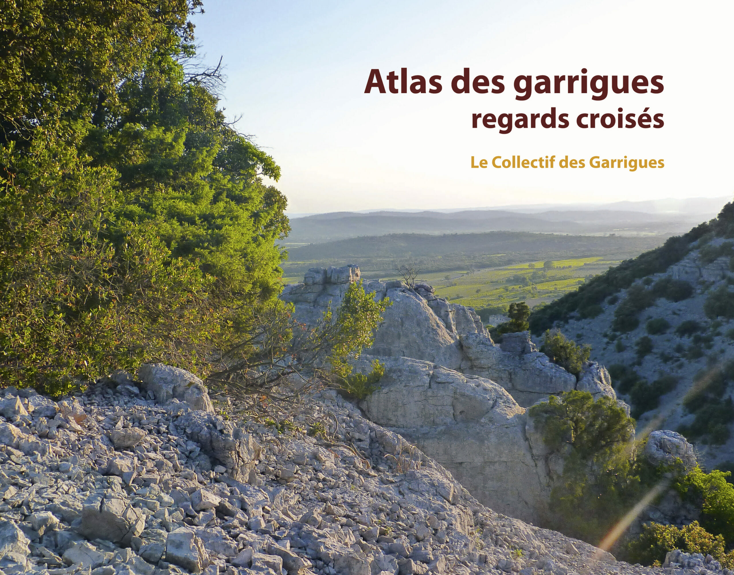 Atlas de la garrigue regards croisés


Association écologistes euziere naturaliste animation formations editions expertises sorties nature activités séjours camps accompagnement sensibilisation bénévolat adhésion soutien mécénat nature 