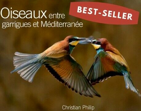 Oiseaux entre garrigues et méditerranée

Association écologistes euziere naturaliste animation formations editions expertises sorties nature activités séjours camps accompagnement sensibilisation bénévolat adhésion soutien mécénat nature 