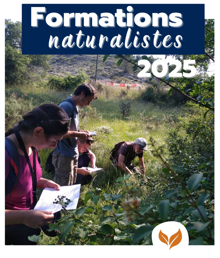 formations naturalistes écologie biodiversité occitanie hérault france experts terrain pédagogie active