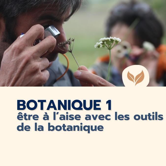 formation botanique 1 
formations naturalistes écologie biodiversité animation nature occitanie hérault france experts terrain pédagogie active