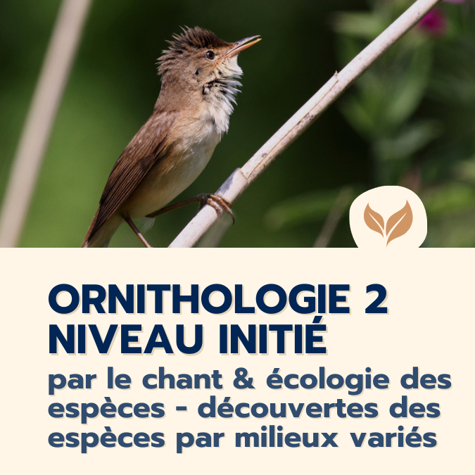 formation ornithologie 2 initié
formations naturalistes écologie biodiversité animation nature occitanie hérault france experts terrain pédagogie active