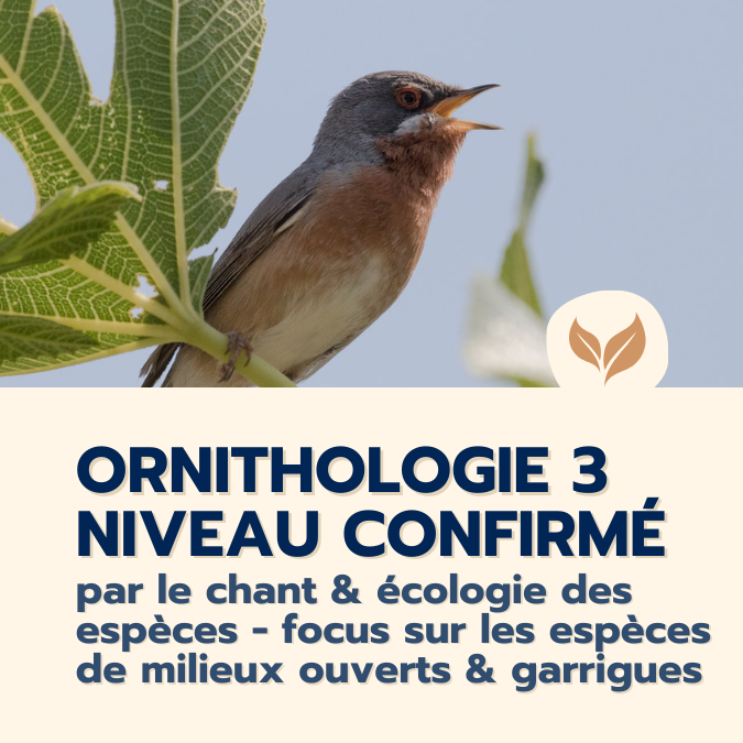 formation ornithologie 3 confirmé
formations naturalistes écologie biodiversité animation nature occitanie hérault france experts terrain pédagogie active