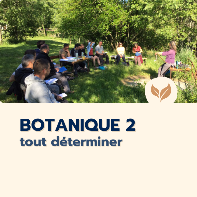 formation  botanique 2
formations naturalistes écologie biodiversité animation nature occitanie hérault france experts terrain pédagogie active