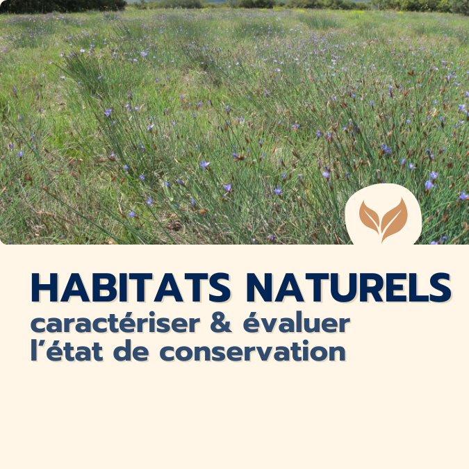 formation habitats naturels 
formations naturalistes écologie biodiversité animation nature occitanie hérault france experts terrain pédagogie active