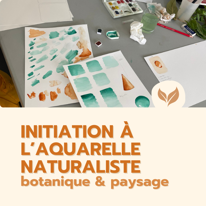 formation initiation à l'aquarelle naturaliste
formations naturalistes écologie biodiversité animation nature occitanie hérault france experts terrain pédagogie active