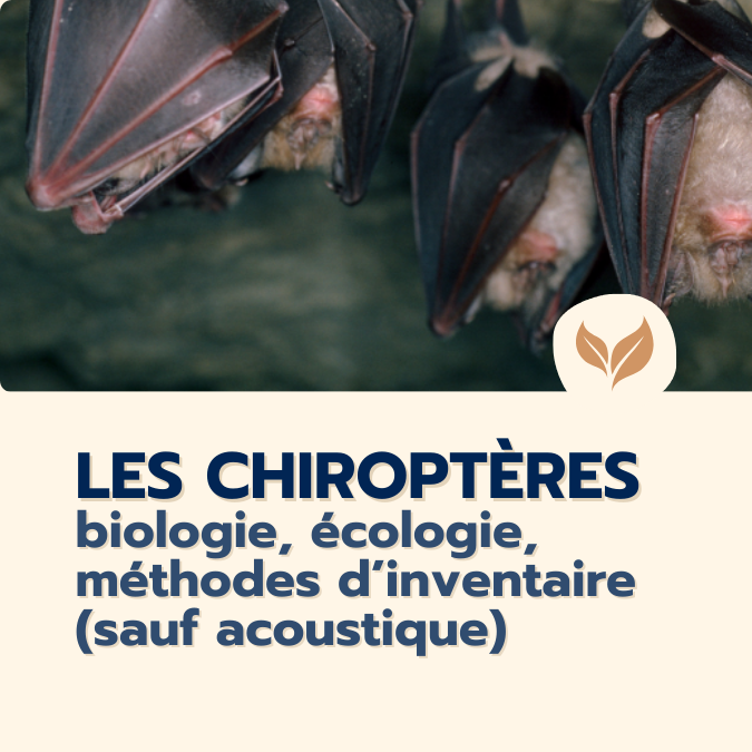 formation les chiroptères biologie écologie méthodes inventaires
formations naturalistes écologie biodiversité animation nature occitanie hérault france experts terrain pédagogie active