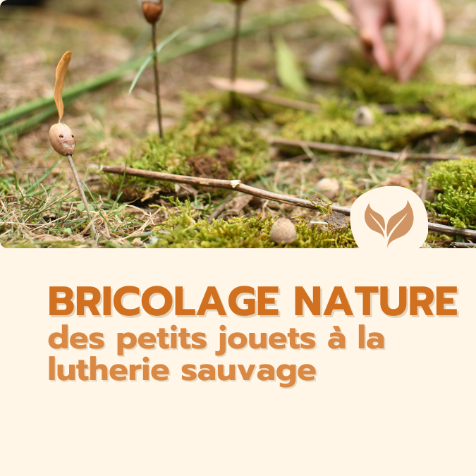 formation bricolage nature 
formations naturalistes écologie biodiversité animation nature occitanie hérault france experts terrain pédagogie active