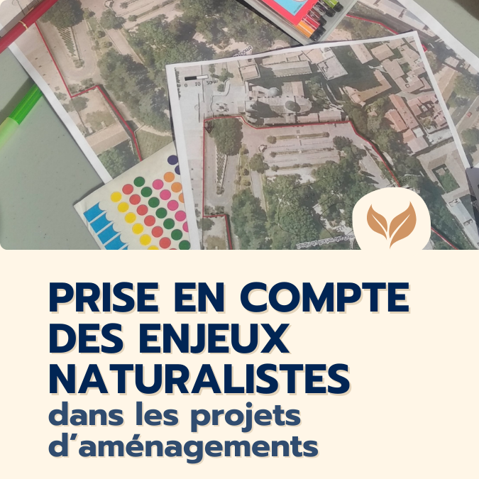 formation prise en compte des enjeux naturalistes projets aménagements 
formations naturalistes écologie biodiversité animation nature occitanie hérault france experts terrain pédagogie active