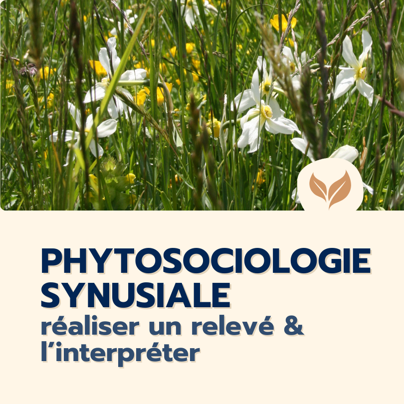 formation phytosociologie synusiale
formations naturalistes écologie biodiversité animation nature occitanie hérault france experts terrain pédagogie active