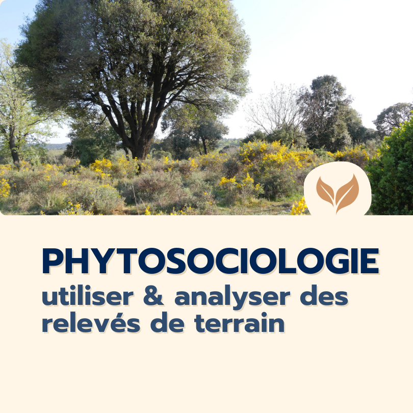 formation phytosociologie 
formations naturalistes écologie biodiversité animation nature occitanie hérault france experts terrain pédagogie active